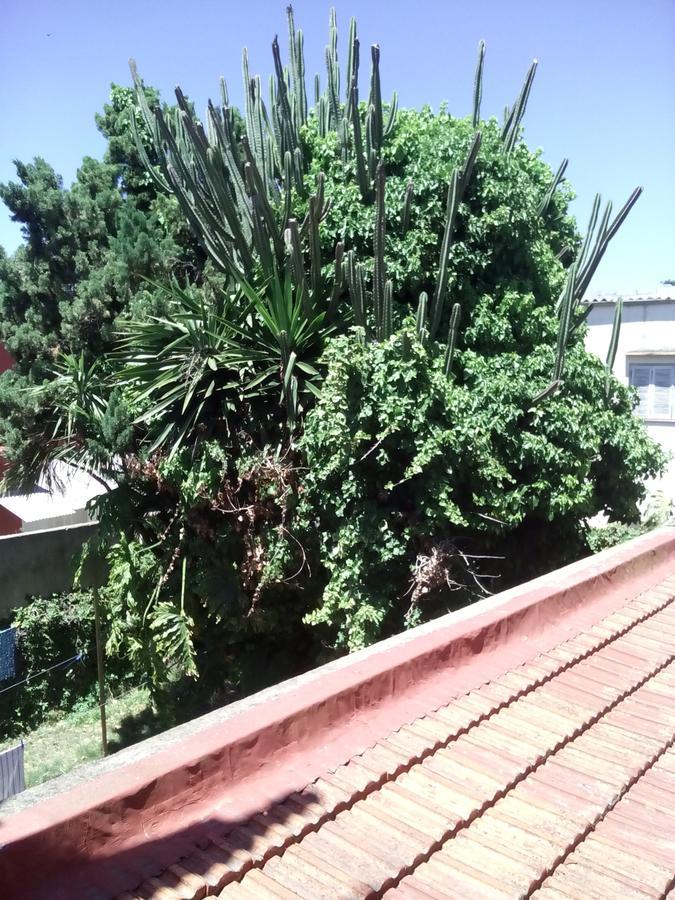 מר דל פלאטה Hosteria Almirante Brown מראה חיצוני תמונה